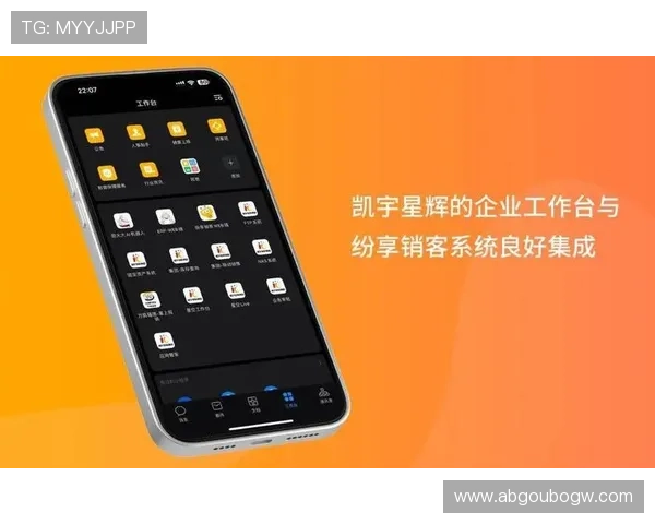 星辉平台:助力企业数字化转型的强大助推器 星辉平台:助力企业数字化转型的强大助推器