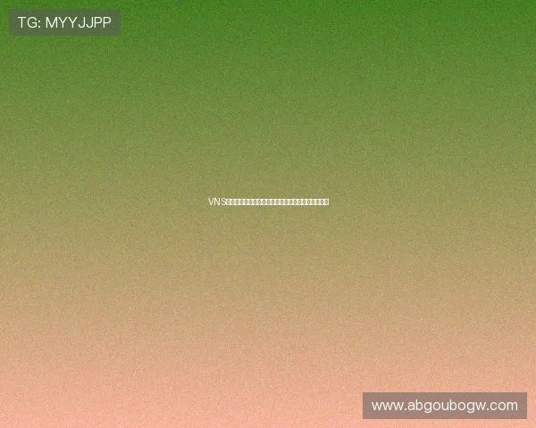 VNS线上娱乐城多样化的存取款方式，快速便捷安全保障