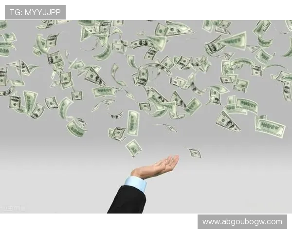 大赢家平台：助你轻松实现财富自由的理想平台